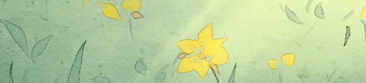3朵百合花语,送3朵百合花代表什么意思？