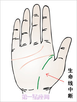 男人的生命线的几种不同诠释