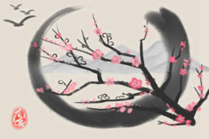 植物花语：杨柳的花语是什么？