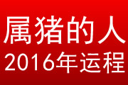 属猪的人2016年运程