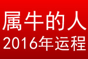 属牛的人2016年运程