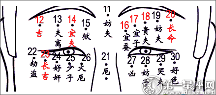 相术大全 