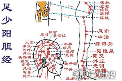 胆经的准确位置图,如何正确的找到胆经?