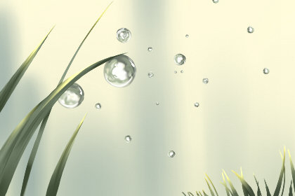 桃花运测试 桃花运测试