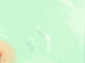 面相看你是否爱做明星梦