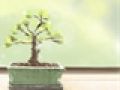 透过眉毛教你识人术