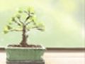 重阳节,四句古诗教你记住它