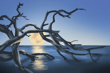 101130573057.png?x-oss-process=image%2Fformat%2Cjpg%2Fquality%2Cq_80%2Finterlace%2C1