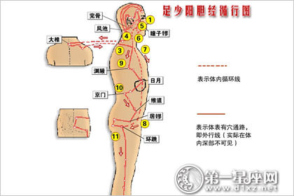 胆经的准确位置图