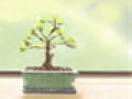卧室清道夫：发财树的养殖方法和注意事项