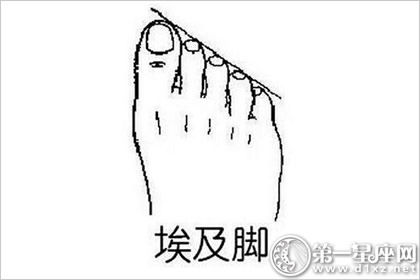 埃及脚