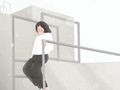 国际爱鸟日是几月几号，国际爱鸟日的来历